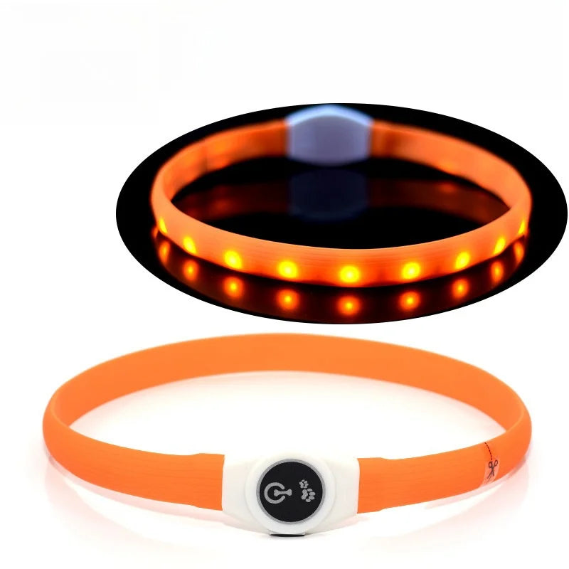 LED Collars For Night Walks