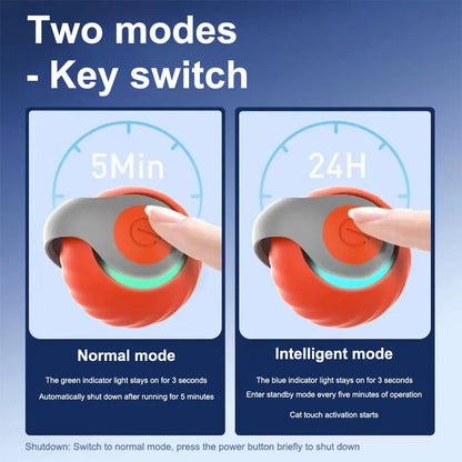 Smart Interactive Toys