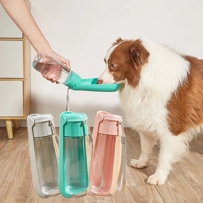 Portable Water Bottle For Walks