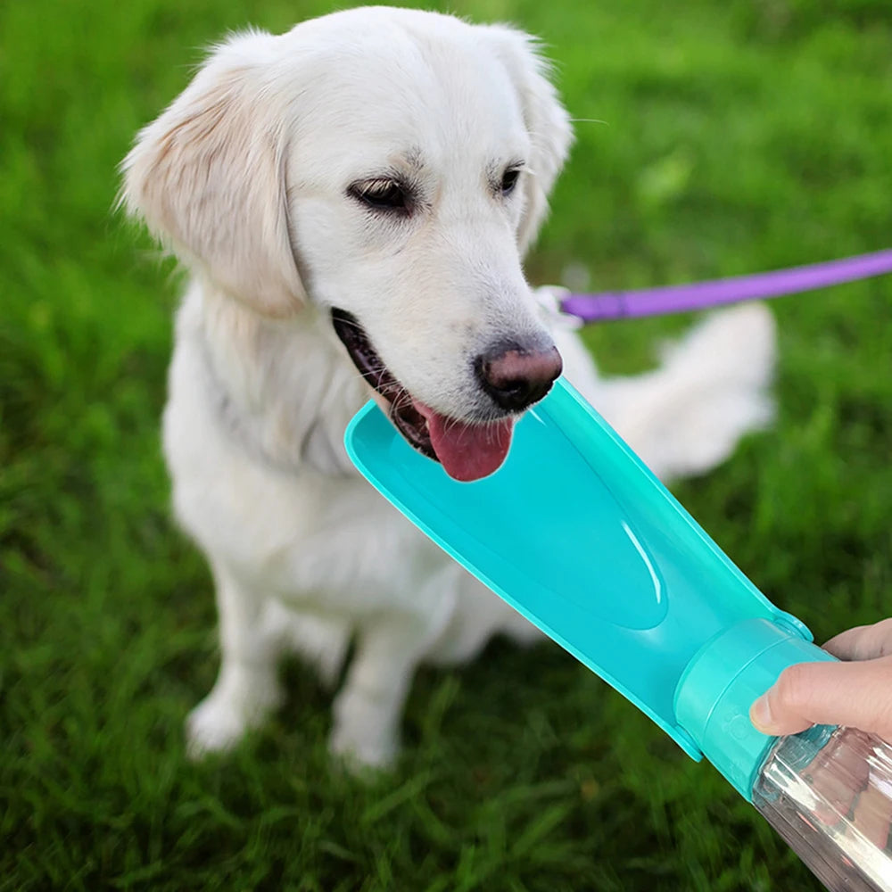Portable Water Bottle For Walks