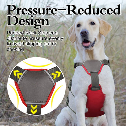 High-Strength No-Pull Harness
