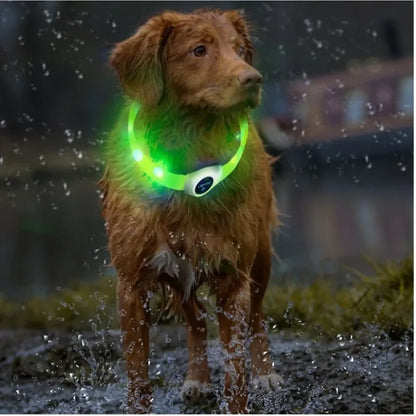 LED Collars For Night Walks