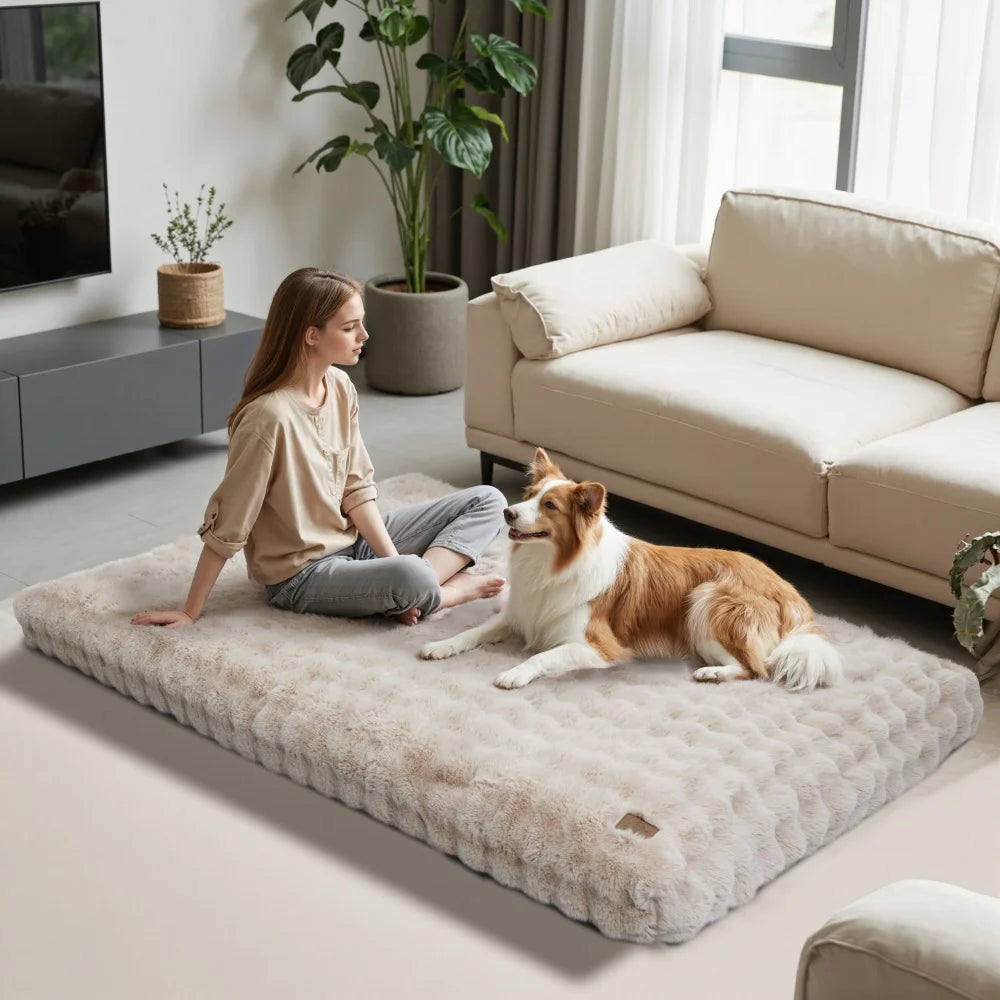 Premium Anti-Anxiety Pet Bed