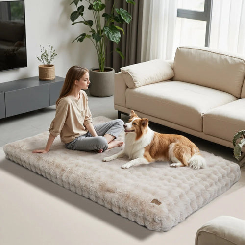 Premium Anti-Anxiety Pet Bed