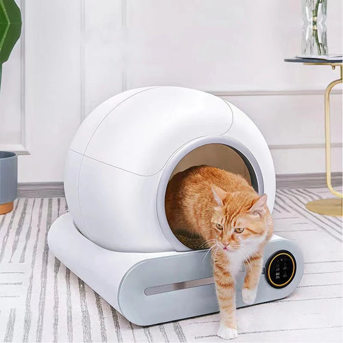 Smart Cat Litter Box