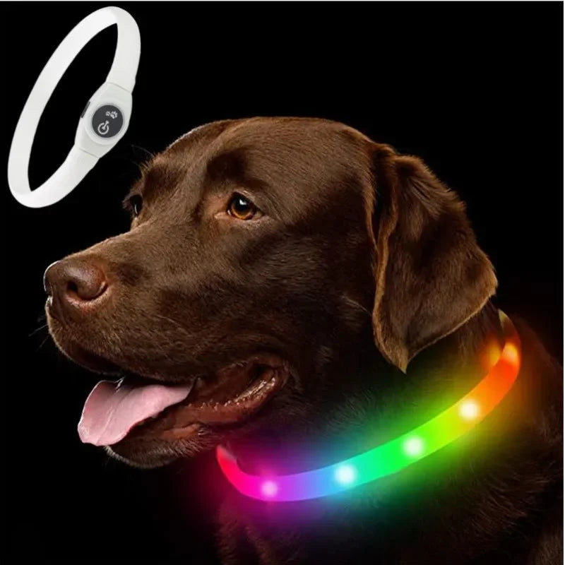 LED Collars For Night Walks