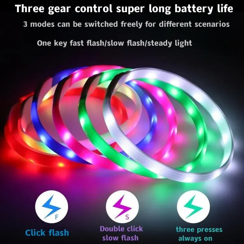 LED Collars For Night Walks