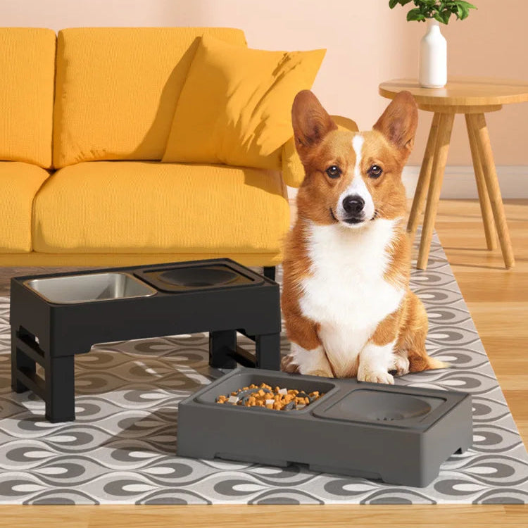 Ergonomic Elevated Feeder