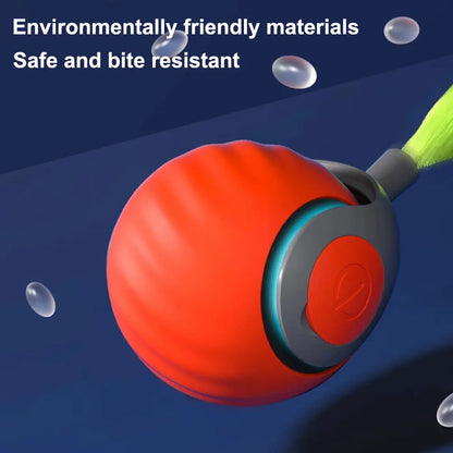 Smart Interactive Toys