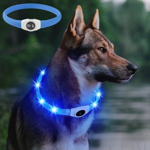 LED Collars For Night Walks