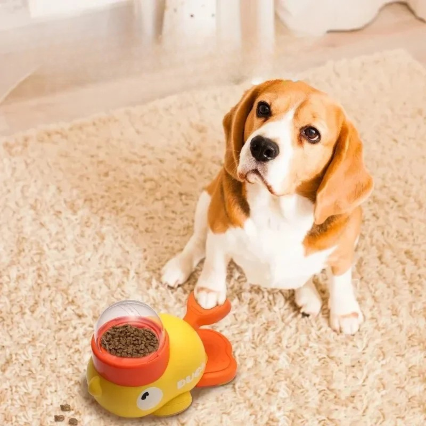 Puzzle-Style  Snack  Dispenser